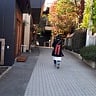 雨滴落下的声音